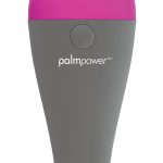 PalmPower Massage Wand