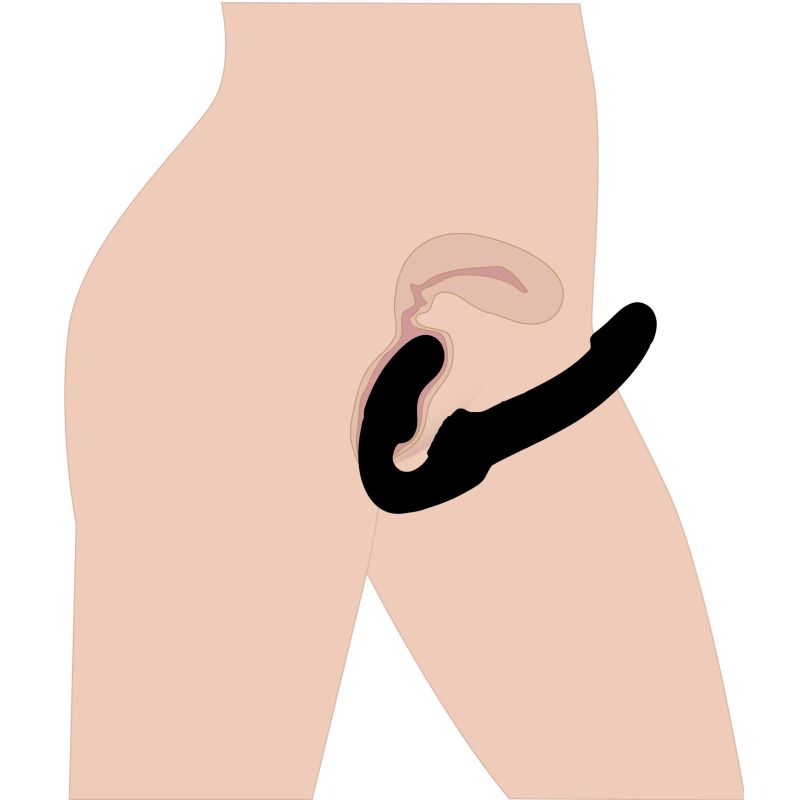 ae169-uterus 162708 4