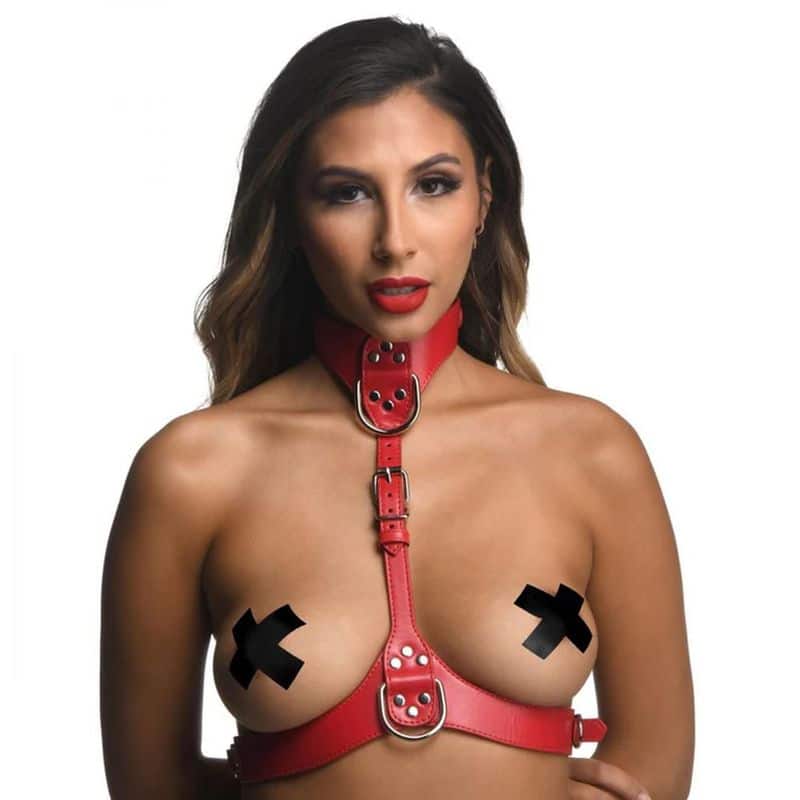 167768_2.jpg Red Female Chest Harness M/L - Image 2