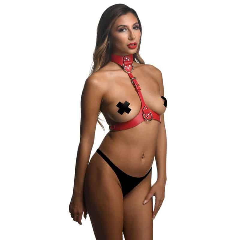 167768_3.jpg Red Female Chest Harness M/L - Image 3