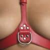 Red Female Chest Harness M/L - Image 5
