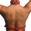 Red Female Chest Harness M/L - Image 6